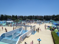 市川市市民プール