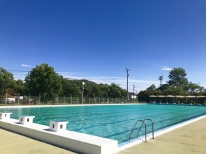 足利市総合運動場プール