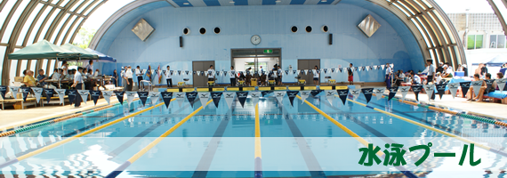 沖縄県総合運動公園