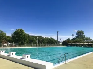 足利市総合運動場プール